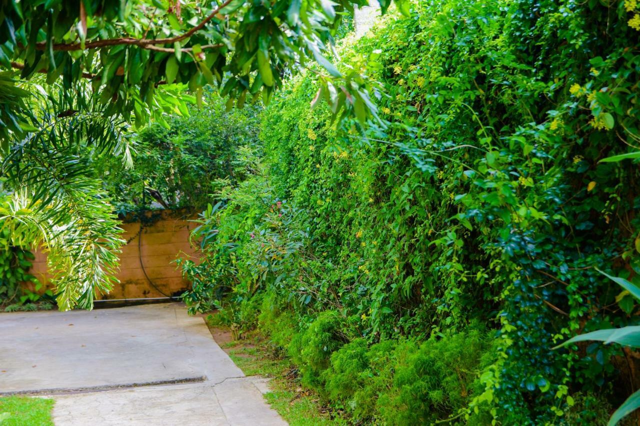 Homestay Garden Rest Kandy Exterior foto