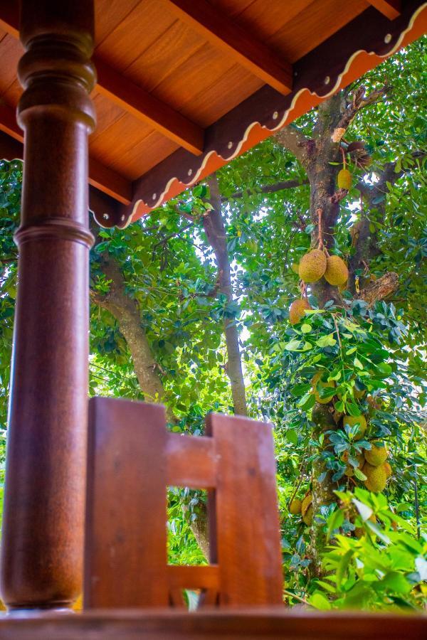 Homestay Garden Rest Kandy Exterior foto